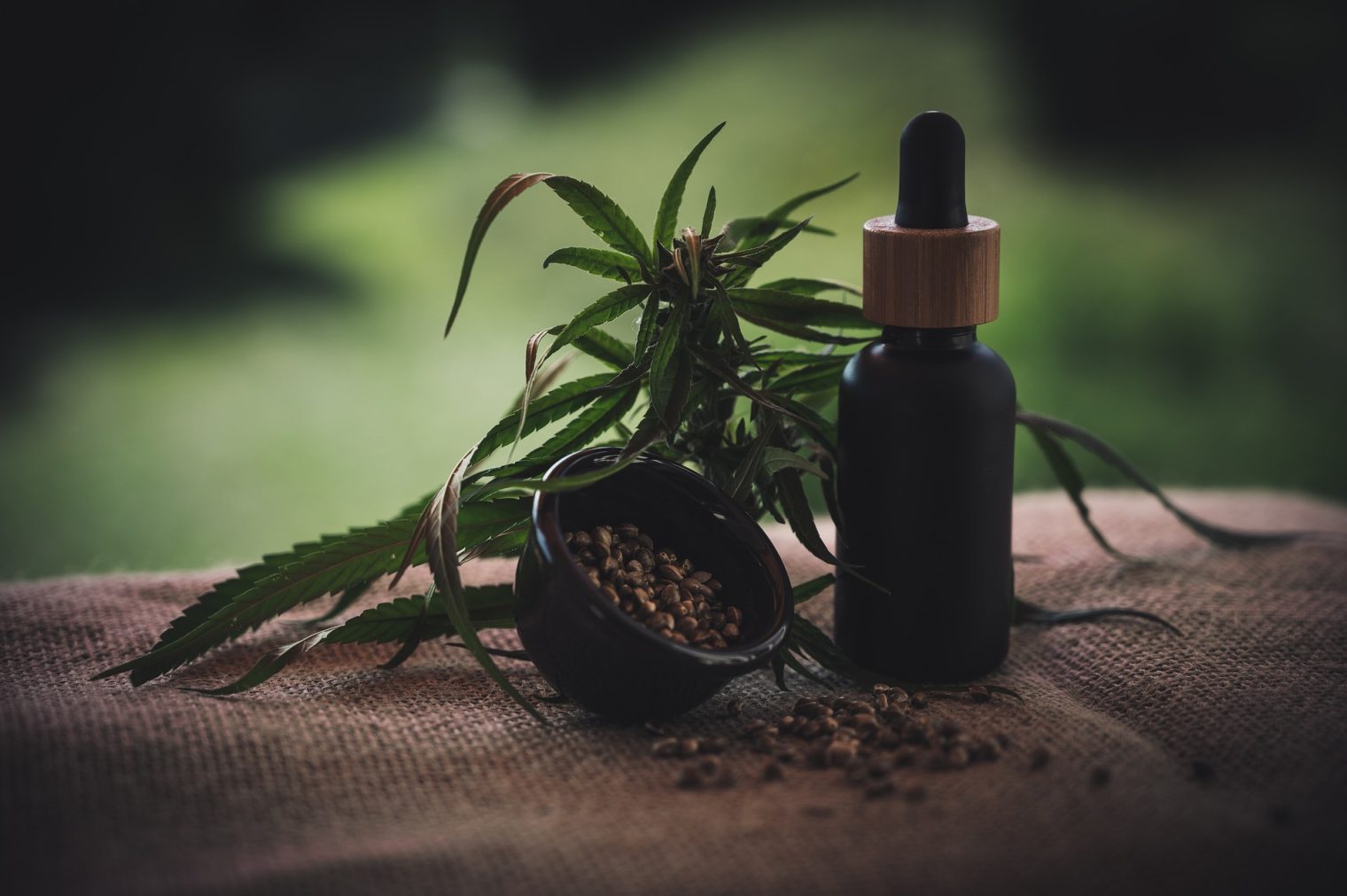 cbd oil for anxiety 2024