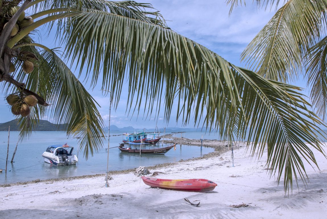 wholesale cannabis in Koh Samui