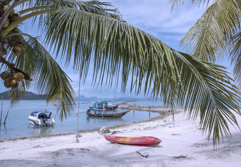 wholesale cannabis in Koh Samui