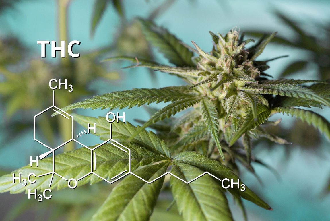 do THC-testing kits work