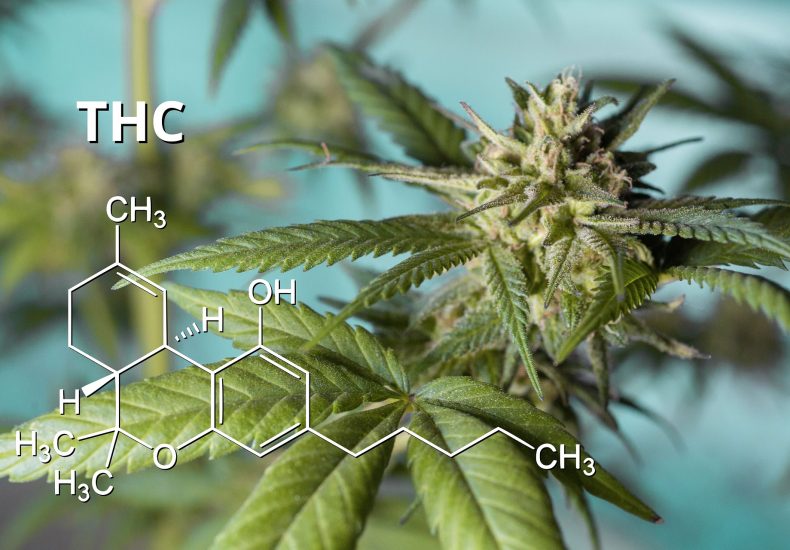 do THC-testing kits work