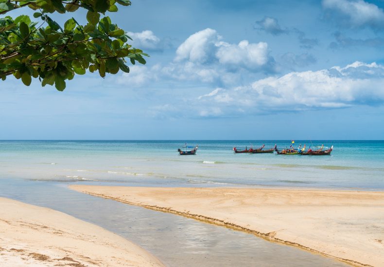 buying bulk weed in Phuket in 2024