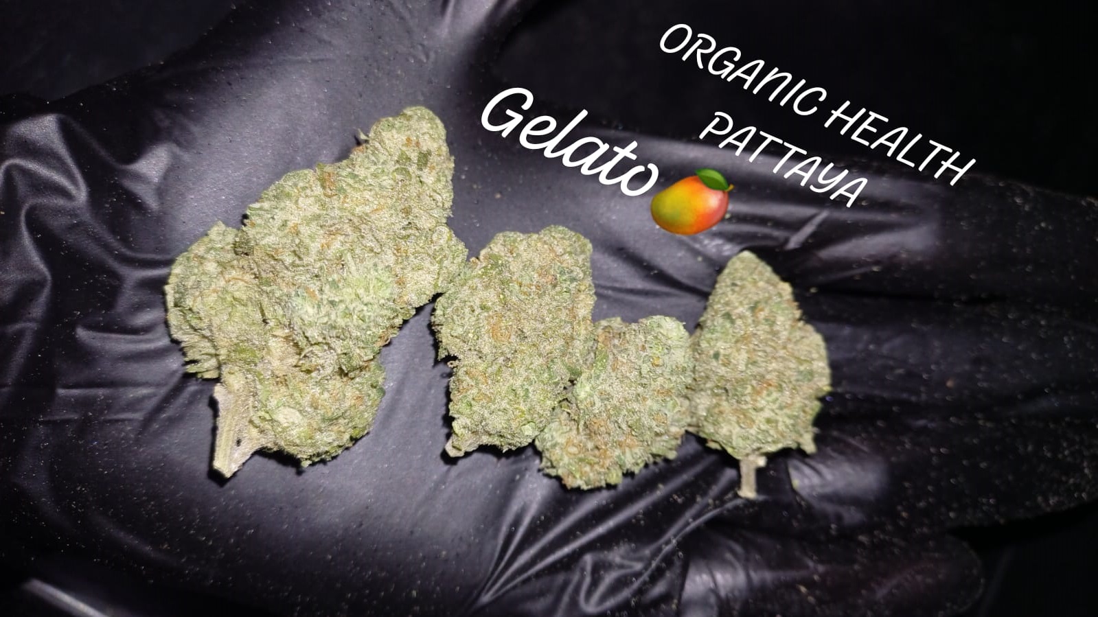 Gelato cannabis strains