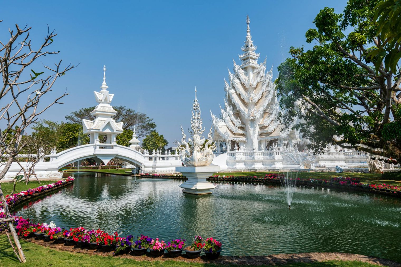 buy cannabis online in Chiang Mai