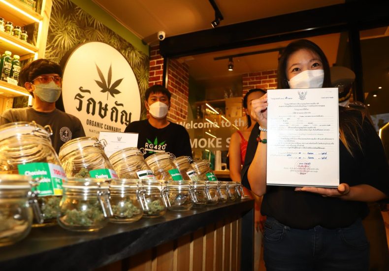 Starting a Marijuana Business in Thailand