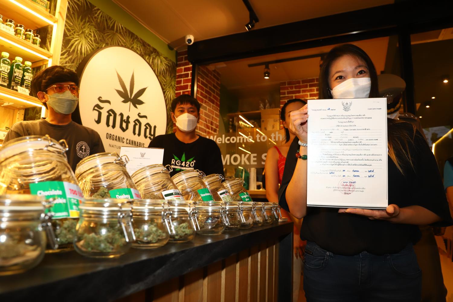 Starting a Marijuana Business in Thailand