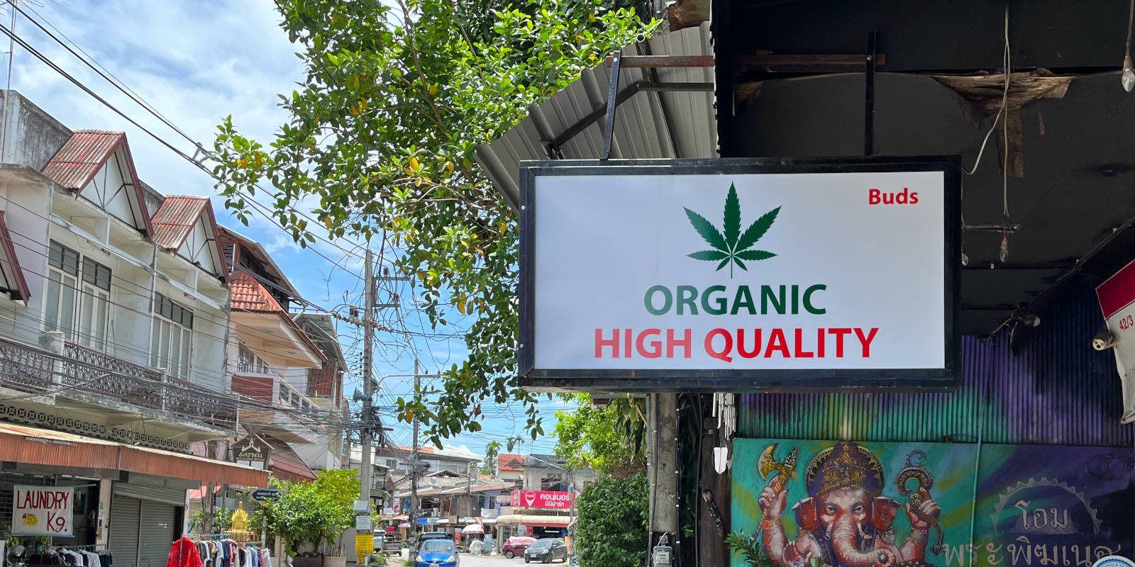 Weed Store in Chiang Mai