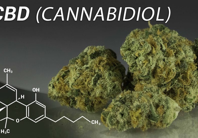 Endocannabinoid system (ecs)