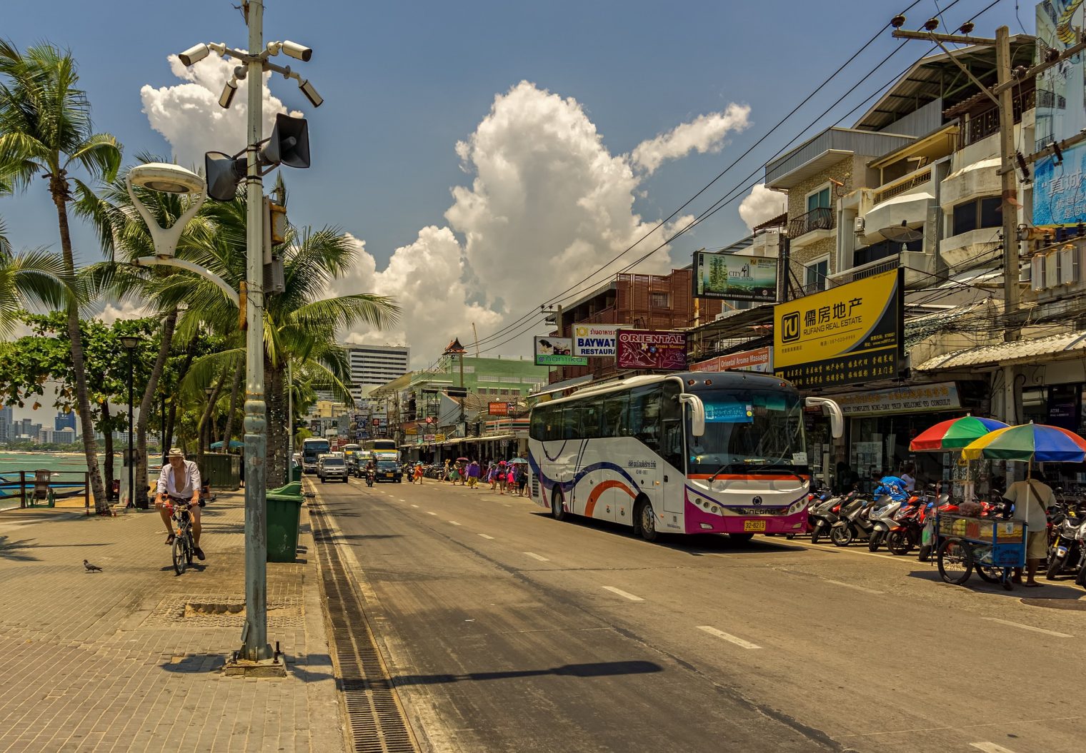Setting Up a Cannabis Business in Pattaya in 2024