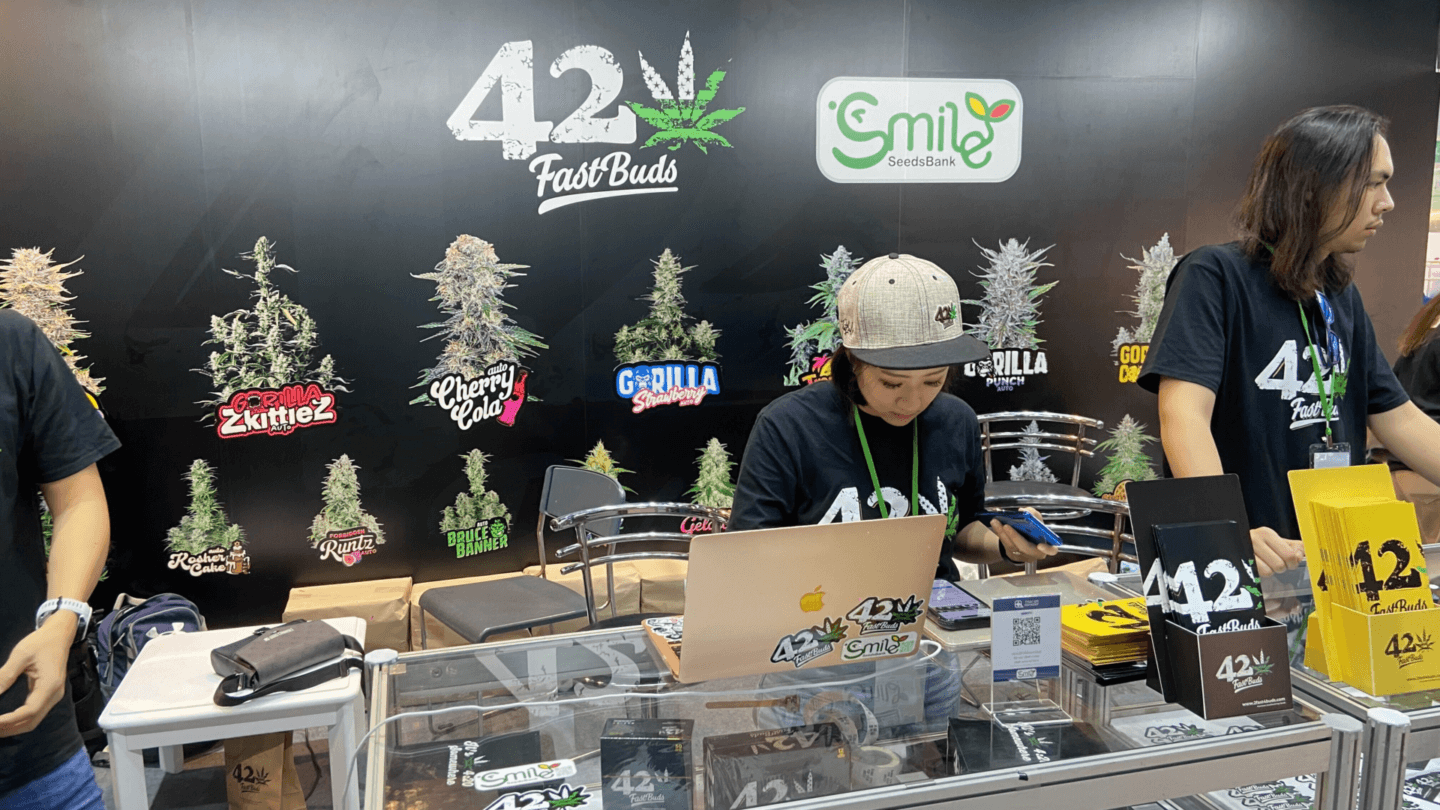cannabis clubs in Thailand in 2024