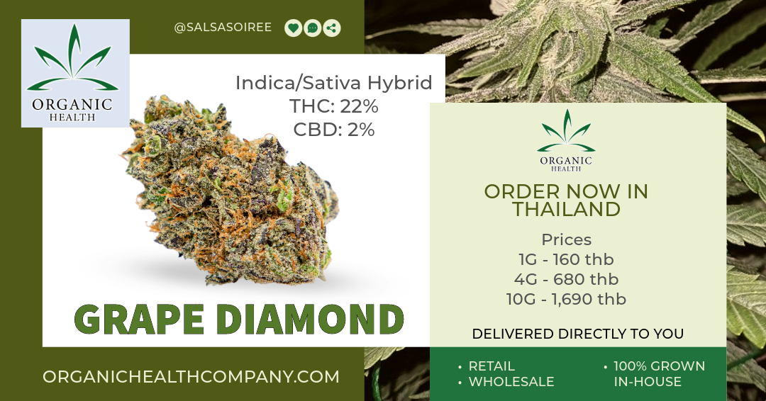 Buy OG Weed in Thailand from Organic Health Pattaya