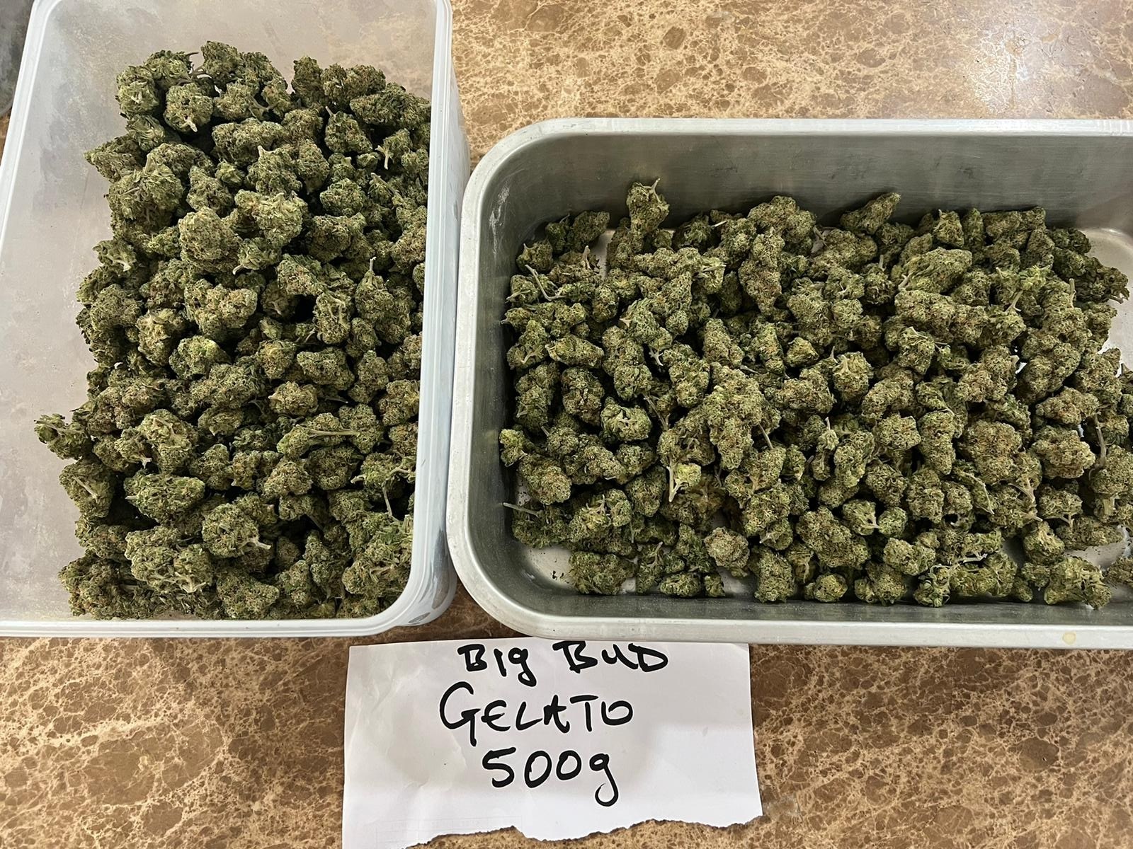 Buying Wholesale Weed in Pattaya